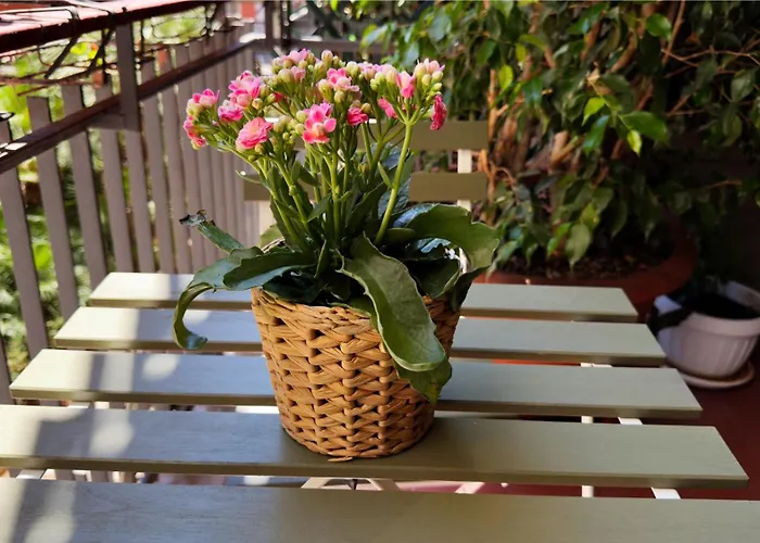 Apartament Petershouse Bari